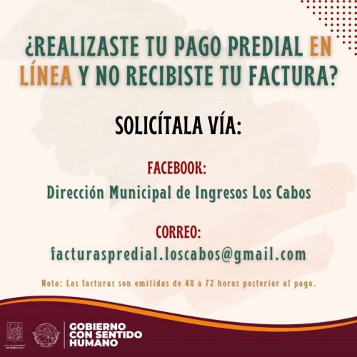 pago_en_linea